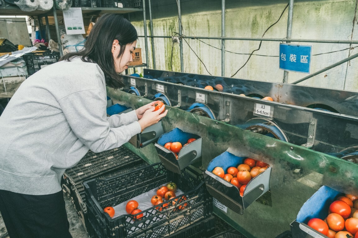 農產品加工學與實習